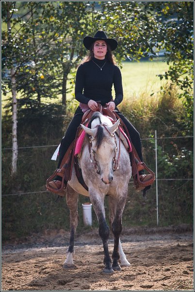 MP Stable11
